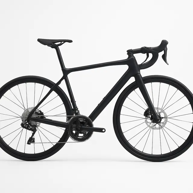 Domane